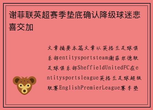 谢菲联英超赛季垫底确认降级球迷悲喜交加